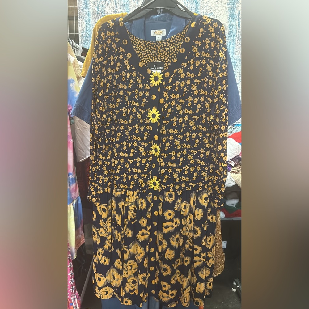 Ladies dress